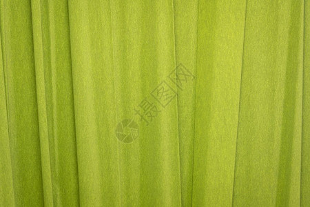 绿色crepe纸绿色背景带有皱纹理图片