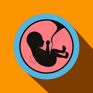 子宫婴儿婴儿子宫平面图标插画