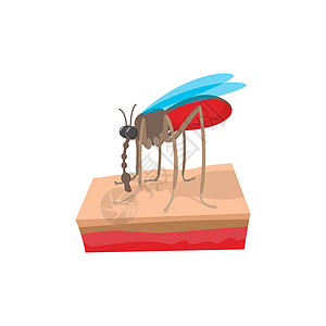 卡通苍蝇白色背景的皮肤卡通图标上的蚊子皮肤卡通图标上的蚊子背景