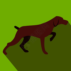 绿色背景的狩猎狗图片