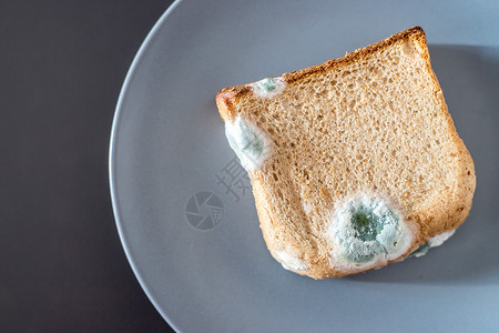 变质食物烤面包片上有绿色点菜背景