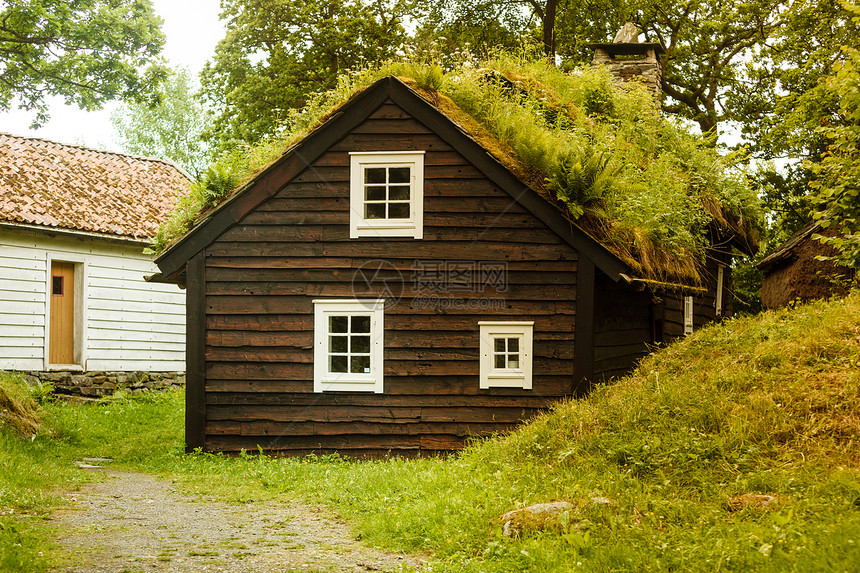 文明和自然概念挪威家庭小屋顶覆盖着美丽的绿苔草图片