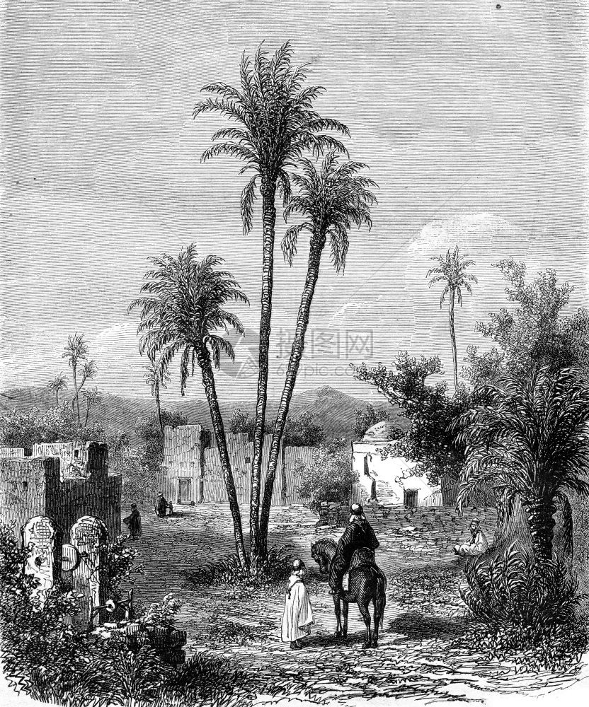 ElMayaLittleWater绿洲位于ElAghouat以西三天1857年MagasinPittoresque图片