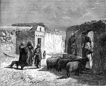 好德福埃及爱德福的阿拉伯家庭180年马加辛皮托雷斯克背景