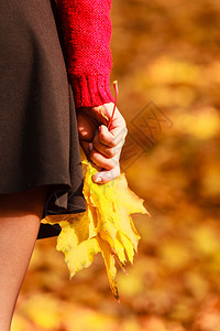 年轻女子在秋天公园行走手持木瓜叶子阳光明媚的秋天美丽图片