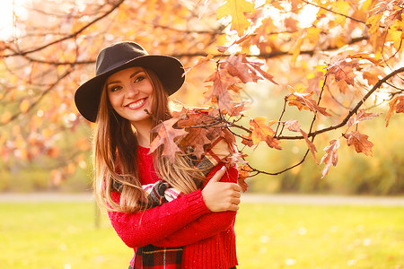 公园的秋季颜色概念女人站在树边穿着黑帽子和红色天候的迷人女士和非常时髦的围巾女人站在树边背景图片
