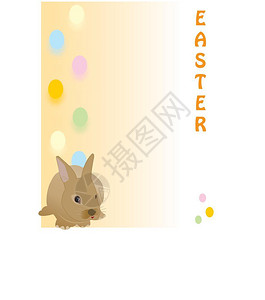 可爱的复活节兔子太好了快速卡片纸图片