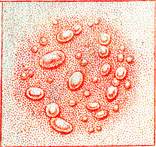 古代刻有的插图图片