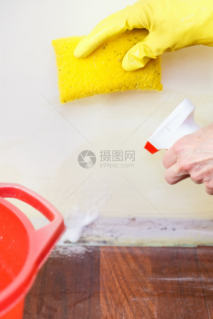 施药者喷墙使用抗芬格尔剂喷墙者用平板霉菌处理真除剂洗涤者图片
