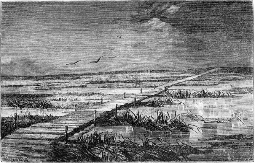 VolmarLivonia周围的路线Livonia古代刻画插图世界之旅行日报1865年图片