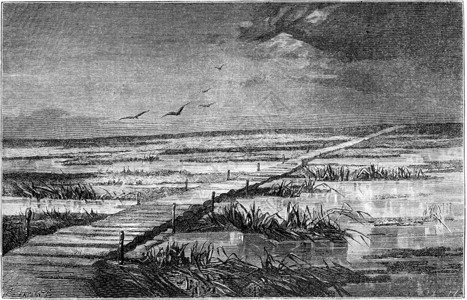 VolmarLivonia周围的路线Livonia古代刻画插图世界之旅行日报1865年杂志高清图片素材