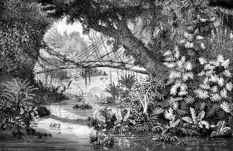 XiengKhongPon竹子古代雕刻插图世界旅行日报1872年桥高清图片素材