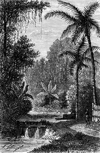 Tondano湖附近的温泉世界旅游行日报1872年图片