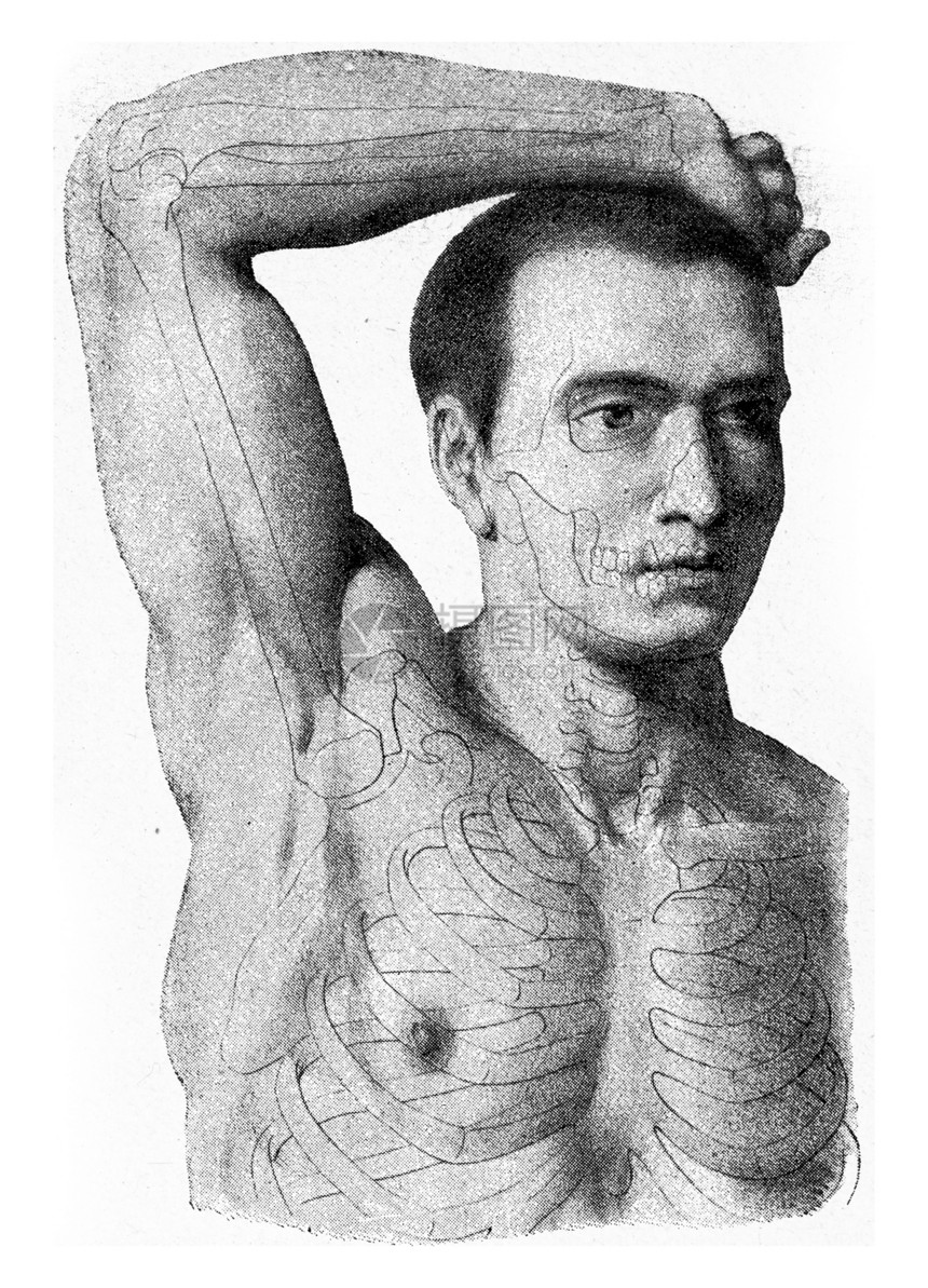 人手臂的肌肉被举起雕刻着古老的插图从宇宙和人类190年图片