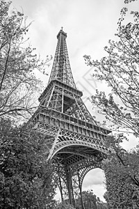 法国巴黎埃菲尔铁塔黑白图像背景图片