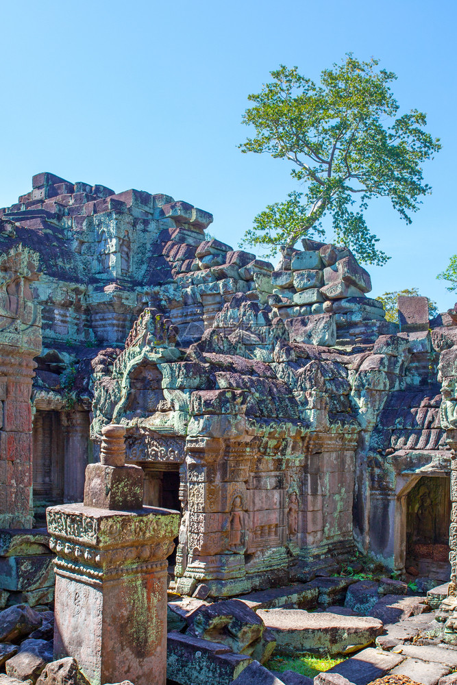 柬埔寨吴哥瓦寺庙多姿彩的废墟图片