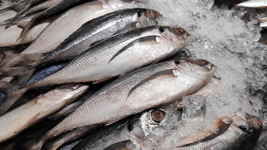 供批发鱼市销售的印度新鲜竹鱼海高清图片素材