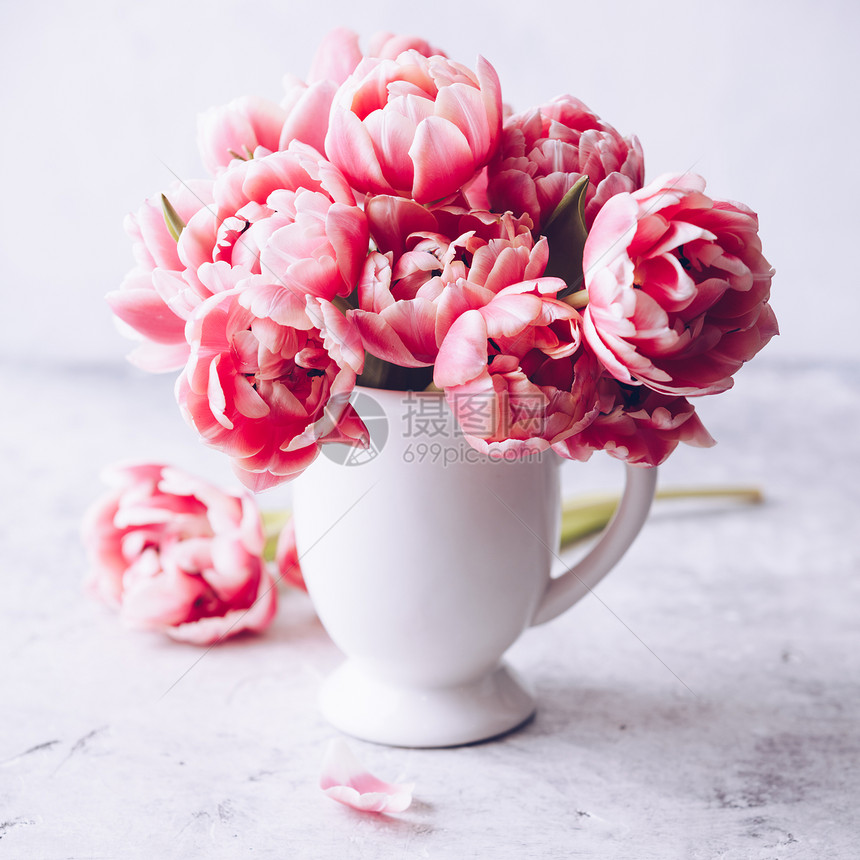 花瓶中的春月郁金香花束白日光图片