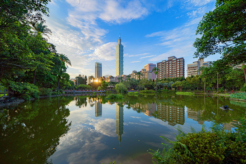 台北公园花和摩天大楼的反射图片