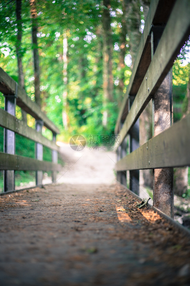 森林中的木桥模糊背景图片