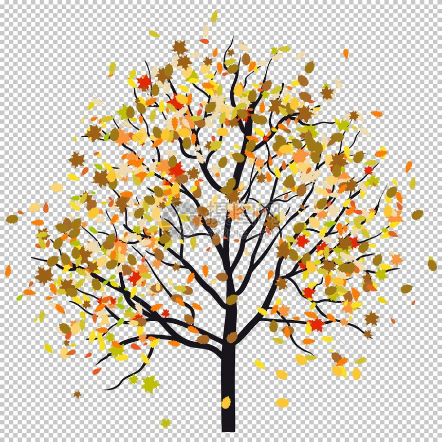 秋树和落叶矢量说明图片