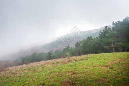 山里的雾和雨图片