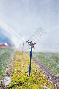 农业田里的灌溉厂夏日土壤背景图片