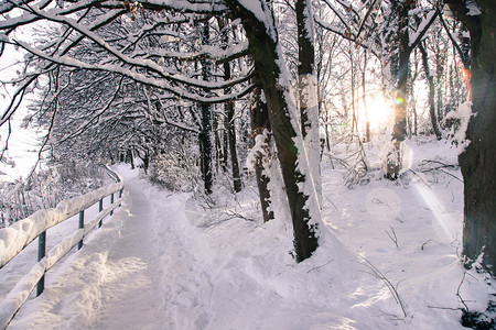 萨尔茨堡的漫步游行寒雪的冬季风景图片