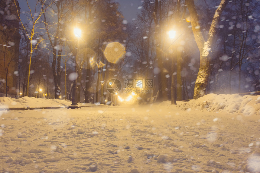 美妙的冬季城市公园夜景图片