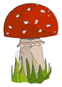 卡通红色蘑菇矢量插图图片