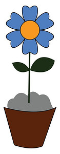 卡通矢量花盆里的蓝色小花图片