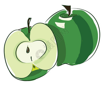 新鲜又美味的绿苹果向量彩色画或插图背景图片