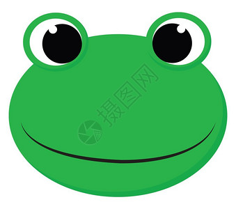 一只快乐的青蛙 图片