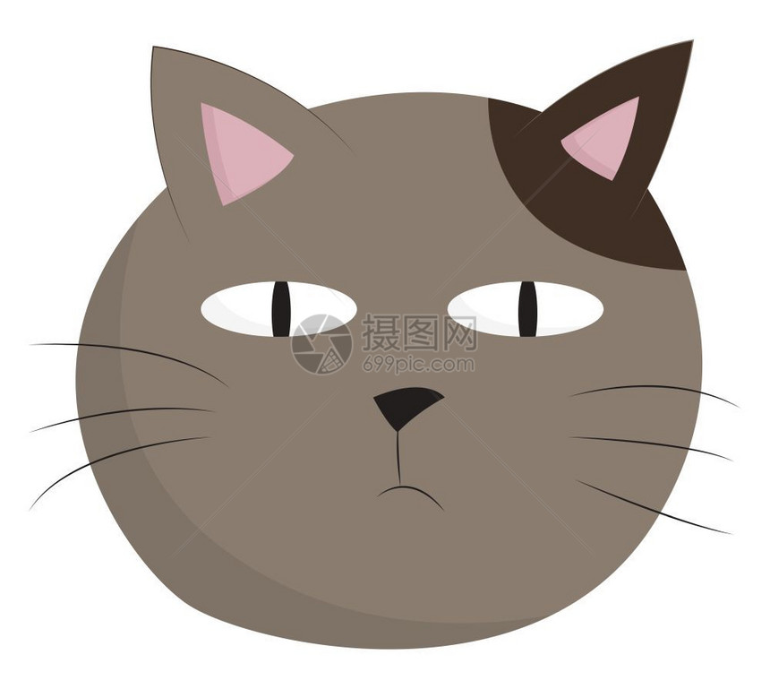 灰色的猫向量彩色绘画或插图图片