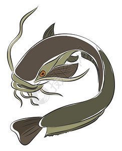 绘制灰色鱼的油漆其身体长三角鳍和心形尾巴在后面旋转而游泳矢量的彩色绘画或插图背景图片