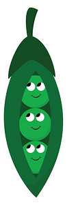 三个绿色的豆子面带微笑的孔圆眼矢量彩色画或插图图片