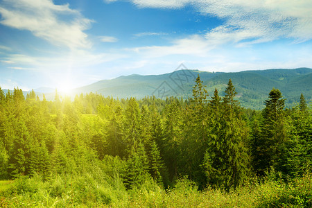景色优美的山峰日落夏季的喀尔巴阡山脉图片