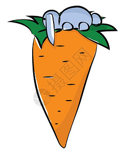 胡萝卜和兔子矢量插图图片