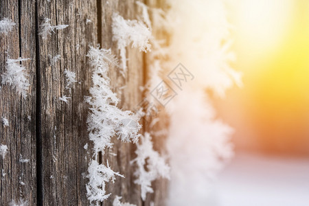 紧贴的冰晶或木针上雪花图片