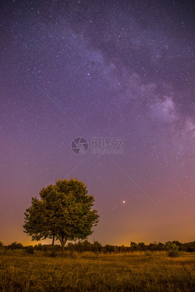 美丽的夜景有星草地和一棵树温暖的紫色图片