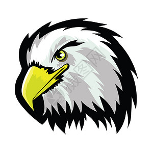 白色斑鹰北秃头纹身设计白背景上的彩虹鸟捕食者霍马斯科特自由象征白美洲北秃鹰头纹身设计背景图片