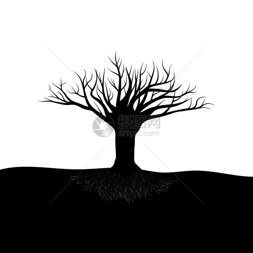在空背景下根地底的黑树Eps10在空背景下根地底的黑树图片