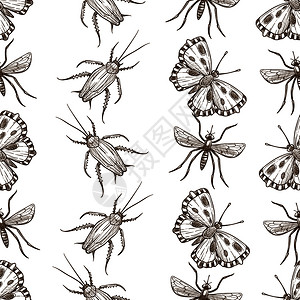 卡通黑白苍蝇昆虫矢量元素背景图片