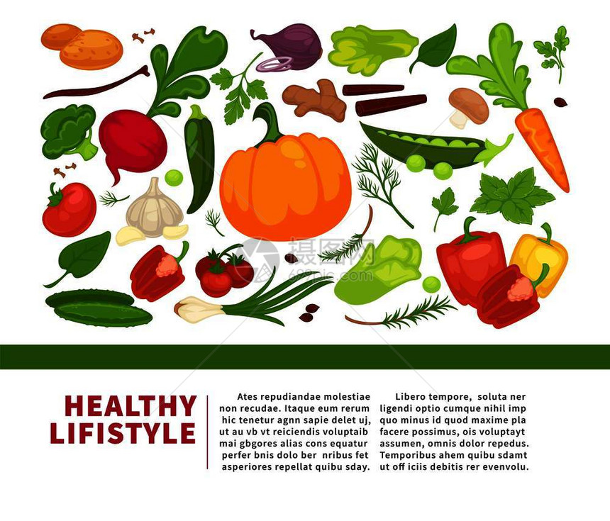 有机蔬菜食品海报背景模板图片