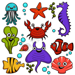 手绘彩色海洋动植物图片