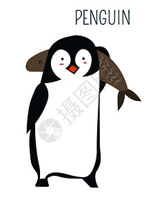 企鹅与巨大的鱼童书角色北极鸟与海鲜漫画以童话故事为题北极生物野和海鲜孤立矢量插图企鹅与巨大的鱼童书角色背景图片
