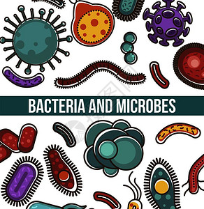 生物分子和小微粒有害和用的细菌微粒和生物的形状图片