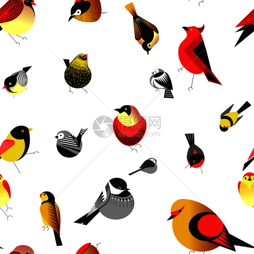 鸟类动物图片