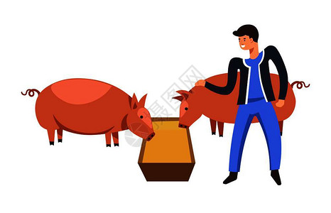 养猪农业的卡通图片素材