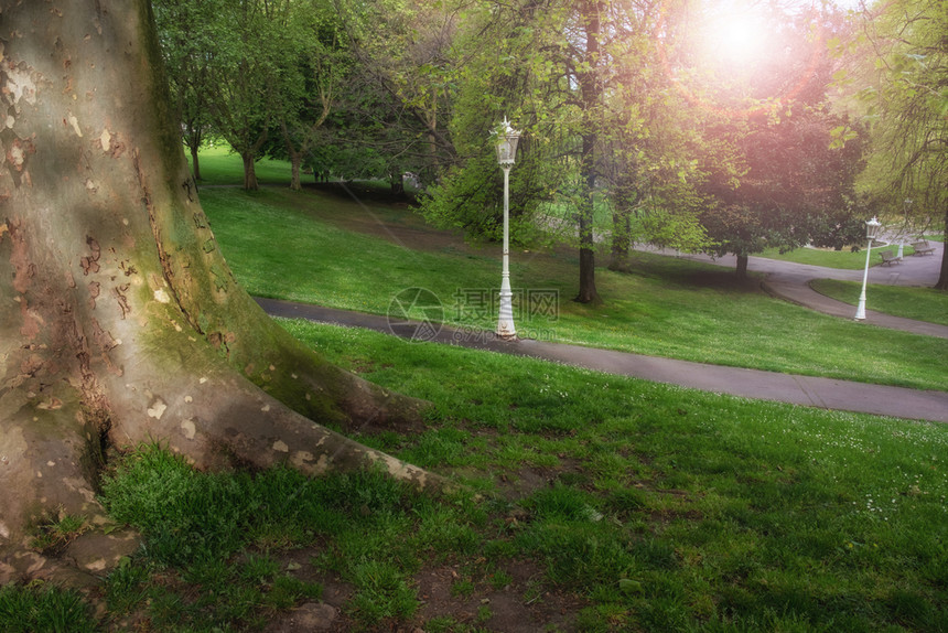 绿色城市公园的阳光明亮春时自然公园景观图片